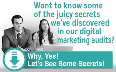me-longform-digital-audit-secrets-button-blog.jpg
