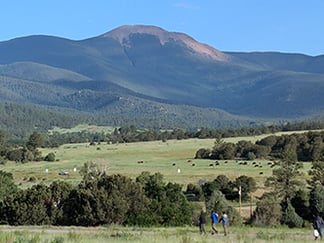 cattle-ranch-1