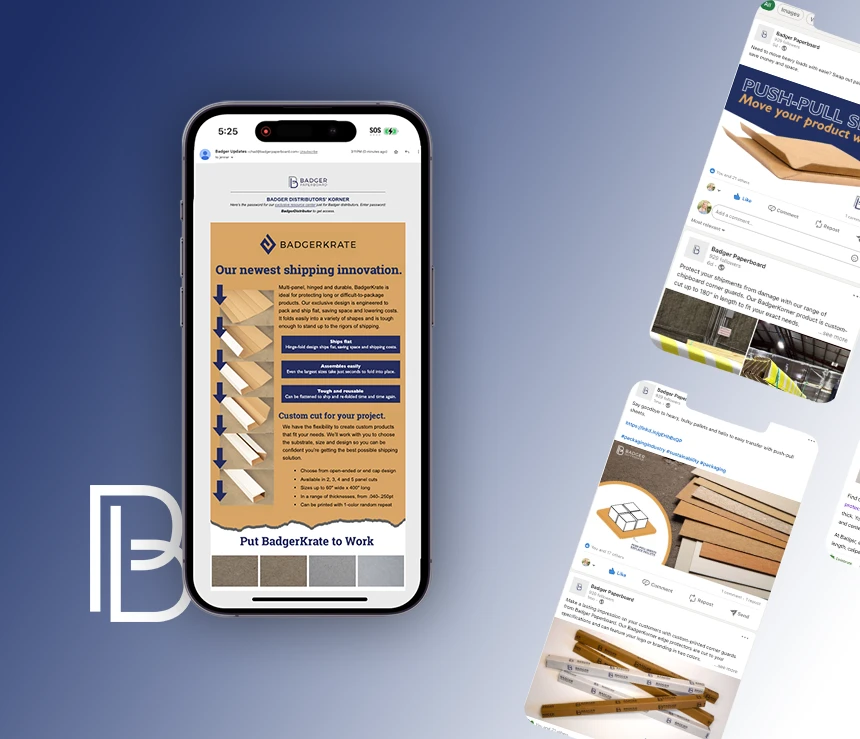 Badger Paperboard digital marketing example
