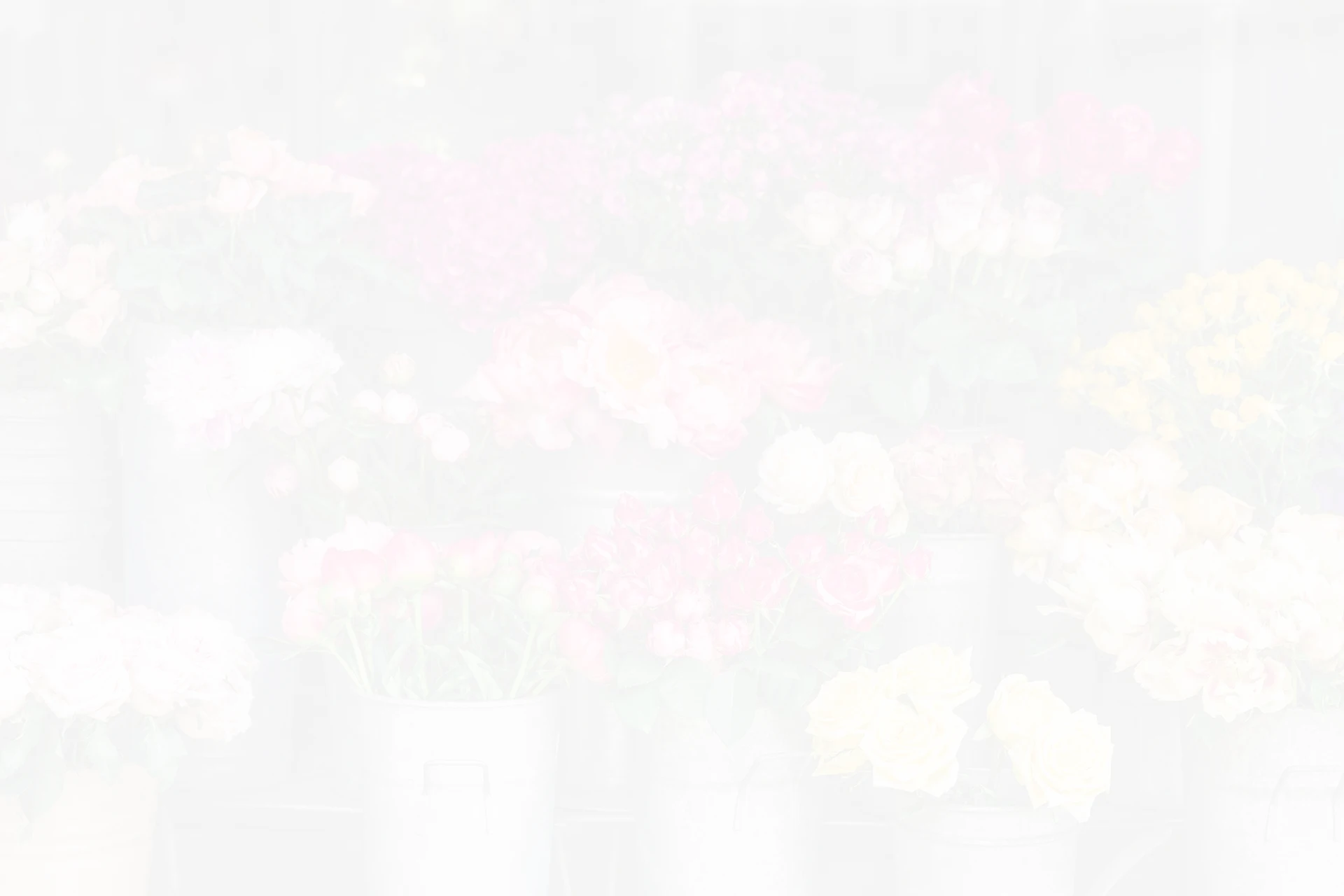 Sidney Flower Shop