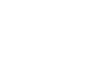 linkedin social sales coaching icon