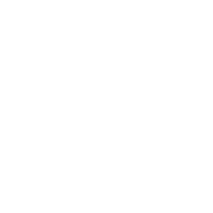 seo and conversion rate optimization icon